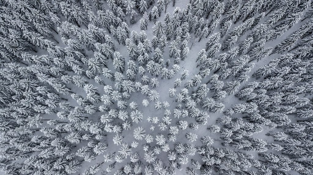 Fotograferen in de sneeuw