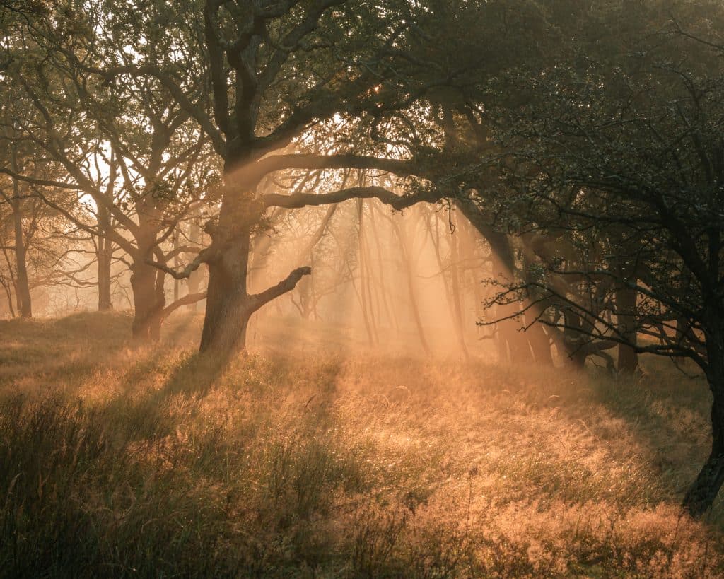 Landschapsfotografie Nederland