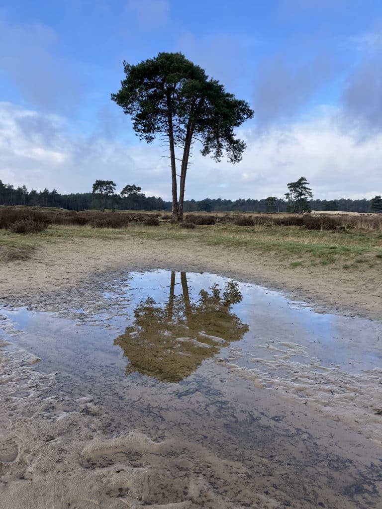 Landschapsfotografie Nederland