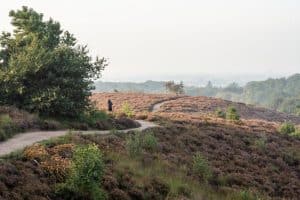 Landschapsfotografie Nederland