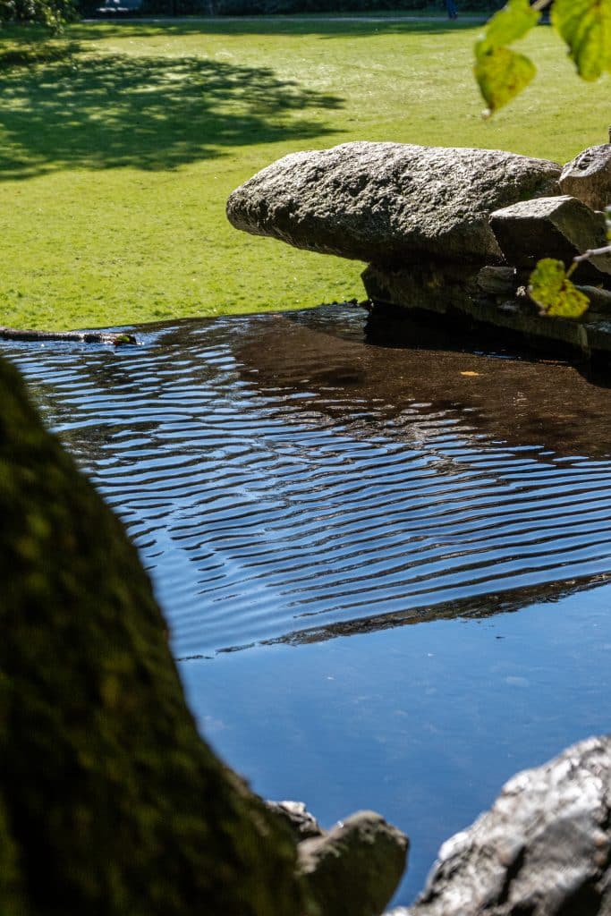 Landschapsfotografie Nederland